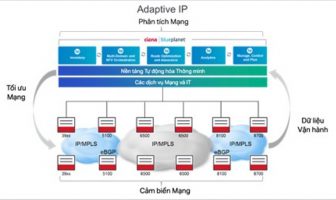IP Thích ứng sẽ thay đổi mạng IP ra sao?